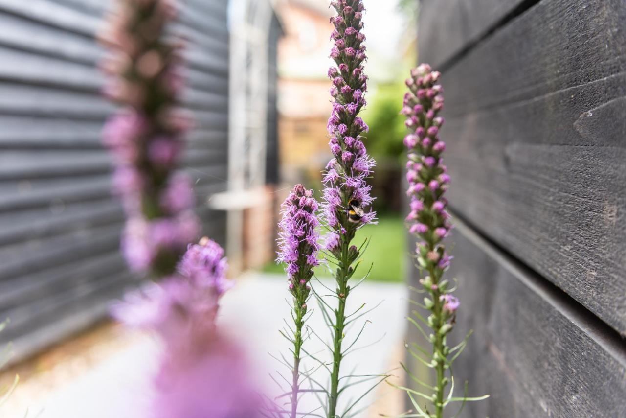 Beautiful Village Cottage, Woburn Exterior foto